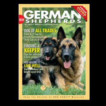Popular Dogs: German Shepherds