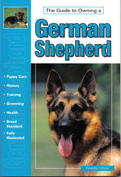 The Guide to Owning a German Shepherd