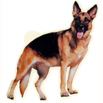 Full Body German Shepherd Vinyl Decal