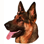German Shepherd Head Vinyl Decal