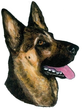 German Shepherd Head Vinyl Decal