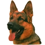 German Shepherd Head Vinyl Decal