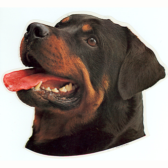 Rottweiler Head Vinyl Decal