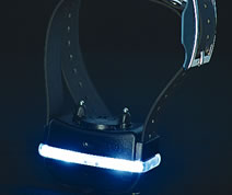 Tracer E-Collar Light