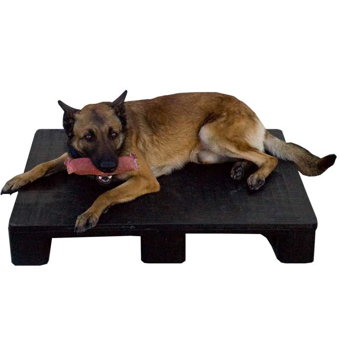 Large Resting Pad