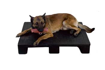 Large Resting Pad