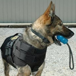 K9 Ballistic Vest for Malinois