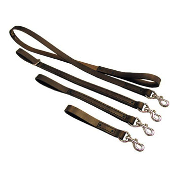 Boston Leather Lead