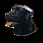 Black Labrador Pin - Color
