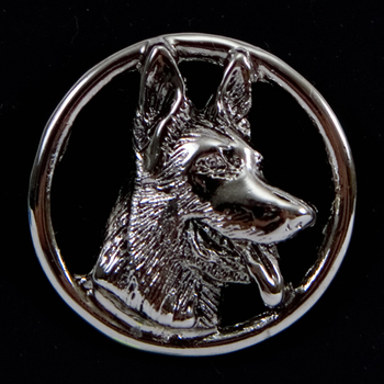 German Shepherd in a Circle