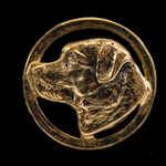 Labrador in a Circle