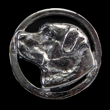 Labrador in a Circle