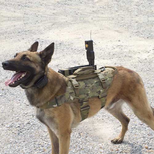 german shepherd backpacks