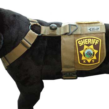 Combat Harness with metal Cobra buckle