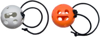 Odor Imprinting Ball