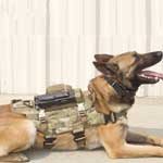 TSE Recon-Tactical Camera System