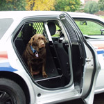 Havis Magnum 05-08  K-9 Insert