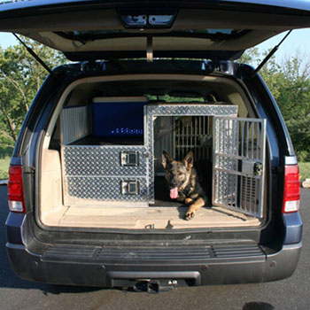 K9 Special