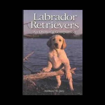Labrador Retrievers An Owner's Companion