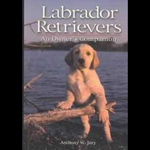 Labrador Retrievers An Owner's Companion