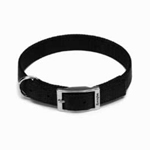 Remington Nylon Collar