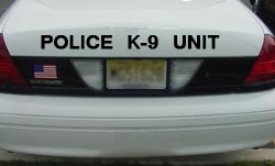 Black Vinyl Vehicle Decal