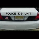 Red Reflective Vehicle Decal