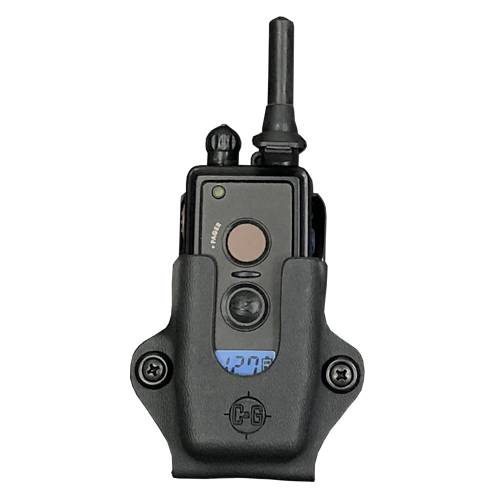 Dogtra remote deals