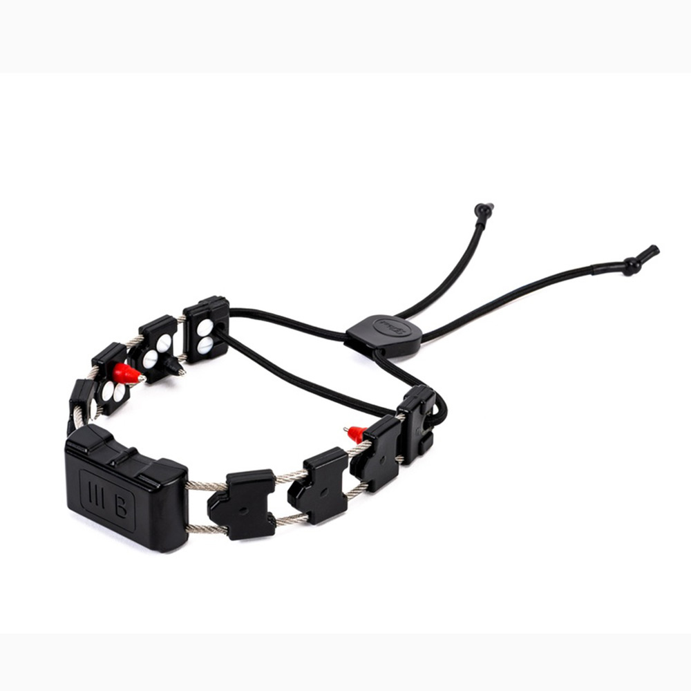 Martin System Chameleon IIIB Collar and charger Bluetooth