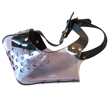 Invisible Muzzle Rottweiler