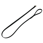 ASAT Kennel Lead 5' L