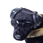 K-9 Eyes and Ears Basic Kit