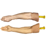 Synthetic Rubber Training Arm - Right Arm open hand with handle