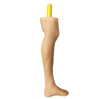 Synthetic Rubber Training Leg with handle