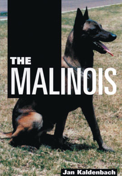The Malinois