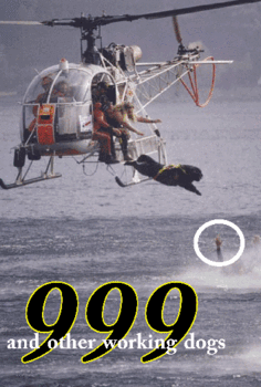 999 and Other Working Dogs