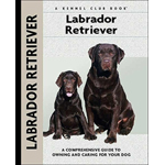 Kennel  Club Book Labrador Retriever