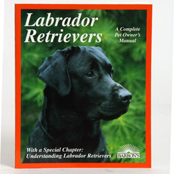 Labrador  Retrievers