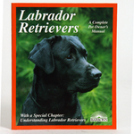 Labrador  Retrievers