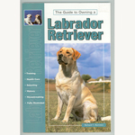 The Guide to Owning a Labrador Retriever