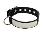 Nylon Collar with Name Plate