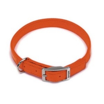 Orange Nylon Reflective Collar