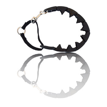 Pro-Training Collar - Large