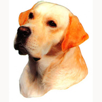 Yellow Labrador Head Vinyl Decal