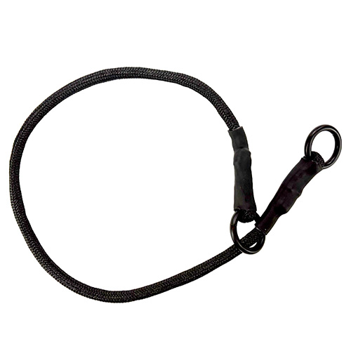 Dominant Dog Collar Version 1