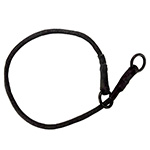 Dominant Dog Collar