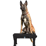 KLIMB Dog Training Platform