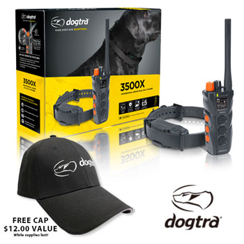 Dogtra 3500 X