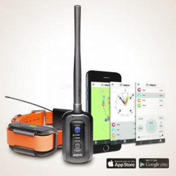 Dogtra Pathfinder 2 GPS and E-Collar