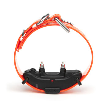 Dogtra ARC extra receiver with Orange collar strap